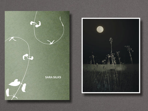 023 - Sara Silks - Setanta Books