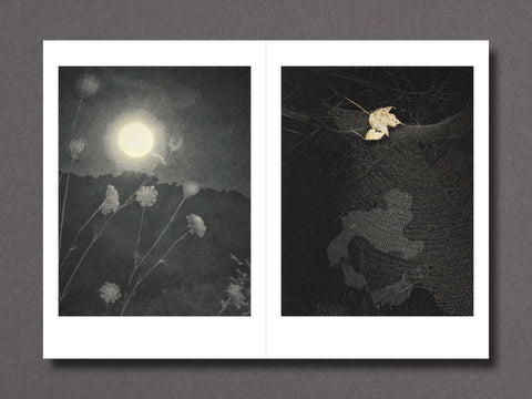 023 - Sara Silks - Setanta Books