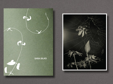 023 - Sara Silks - Setanta Books