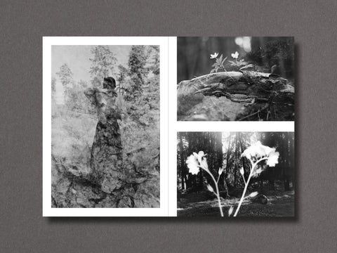 026 - Nathalie Ericson - Setanta Books