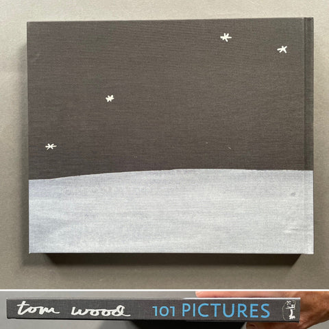101 Pictures