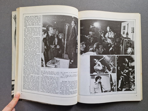 1988: The New Wave, Punk Rock Explosion - Setanta Books