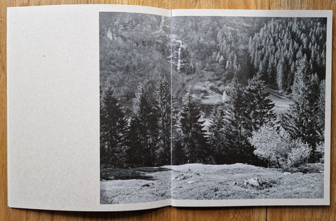 The Living Mountain