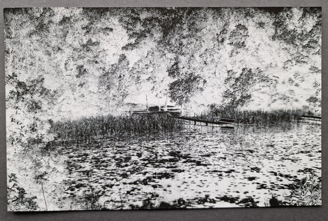 The Lake
