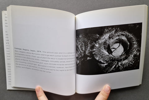 Five Pioneers of Photography: Mathew Brady, Martin Chambi, Fadweard Muybridge, Daido Moriyama, James Van Der Zee (Phaidon 55's Series)