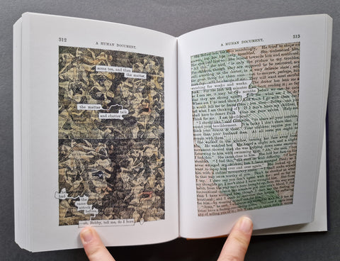 A Humument: A Treated Victorian Novel - with two prints