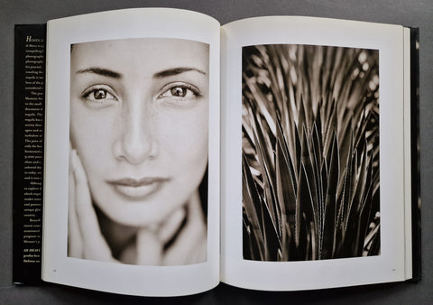 Heaven, Earth, Tequila: Un Viaje Al Corazon De Mexico