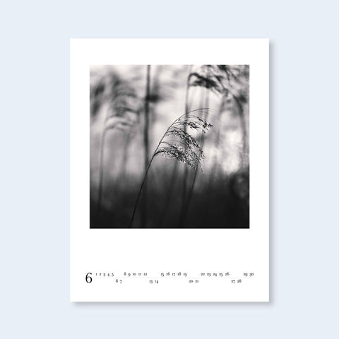 2026 Michael Kenna Calendar - Setanta Books