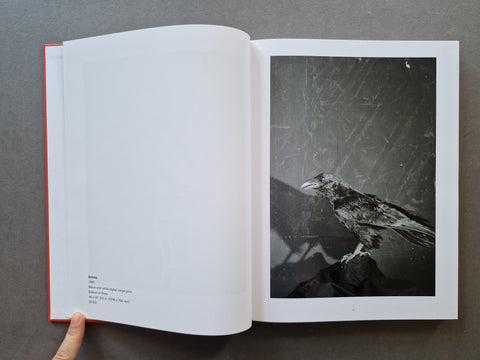 Jim Dine: The Photographs, So Far (Vol. 1 - 4)
