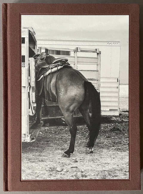 Front cover of A Naturalist Guide to Magic by Anja Niemi with an image of horse back.