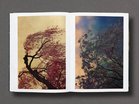 On Listening To Trees Limited Edition with Print
