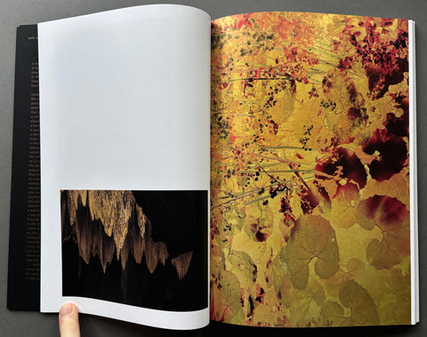 Windows to the Unexpected