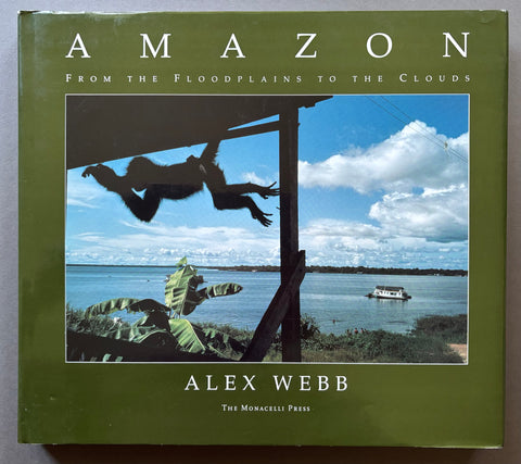Amazon: From the Floodplains to the Clouds