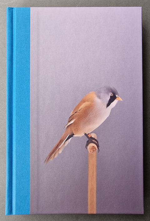 An Incomplete Dictionary of Show Birds .Vol 2 (2 Cover Options)
