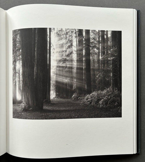 Shanti: The Sea Ranch And Around