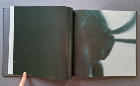 An open art book lying on a gray surface, showing a large photographic print with a dark abstract silhouette of a moth.