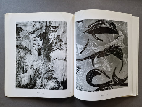 Voyage of the Eye: An Aperture Monograph