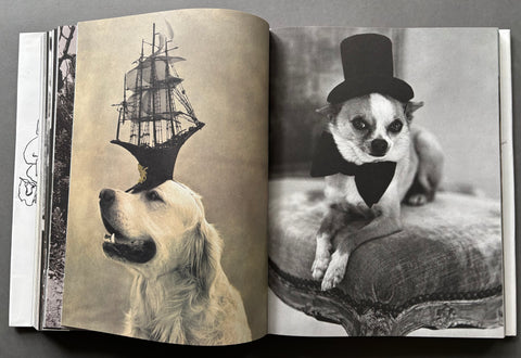 Blood Sweat and Tears