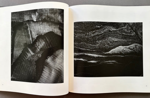 Landscapes of the Mind