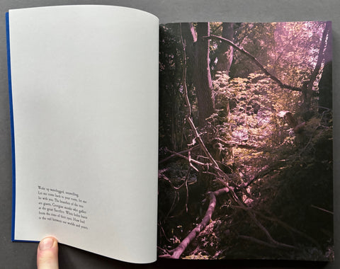 Even As A Shadow, Even As A Dream