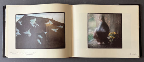 An open art book or portfolio laid flat on a dark surface, showing two printed artworks on cream pages. The left page contains a dark-toned painting with white birds flying near a roofline, and the right page shows a seated woman in a dim interior with yellow flowers in the foreground.