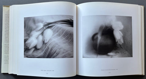 David Hamilton: Seine Besten Bilder (His Best Pictures) 1965-1990