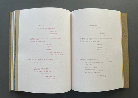 Deer Book/Libro Venado