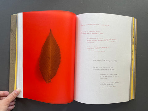 Deer Book/Libro Venado