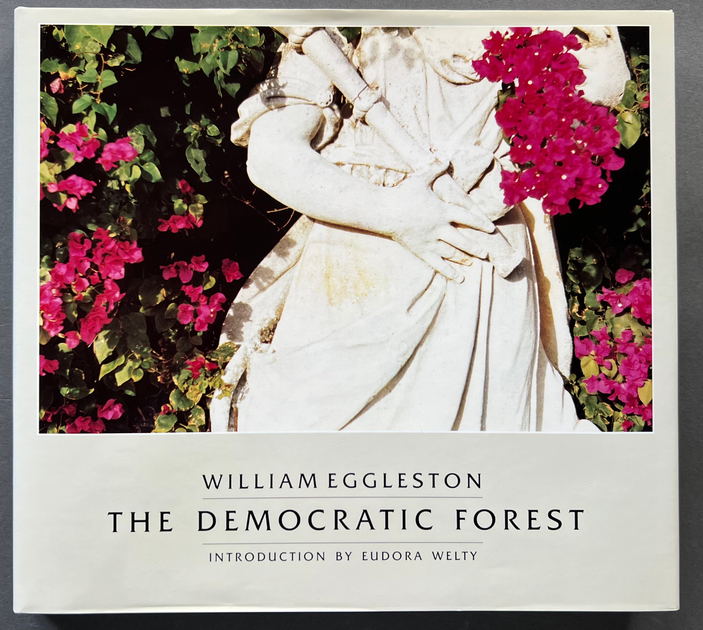 Buy The Democratic Forest by William Eggleston online – Setanta Books Buy The Democratic Forest by William Eggleston online – Setanta Books