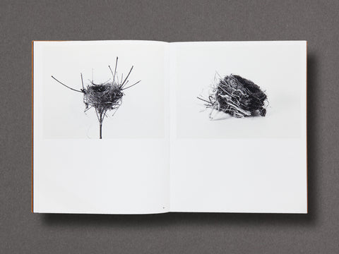 Des Oiseaux Limited Edition with Print