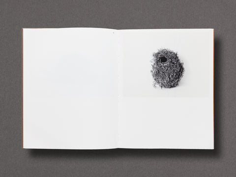 Des Oiseaux Limited Edition with Print