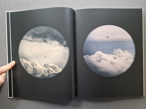 Des Oiseaux