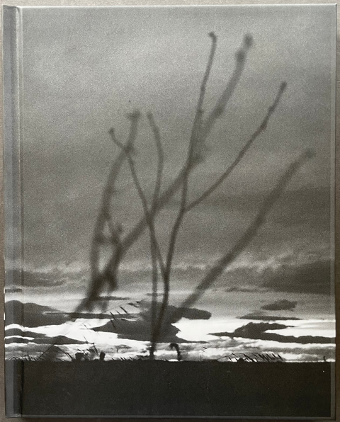 A hardcover art book featuring a black and white landscape photograph of bare tree branches over a rocky shoreline, displayed against a neutral gray textured background.