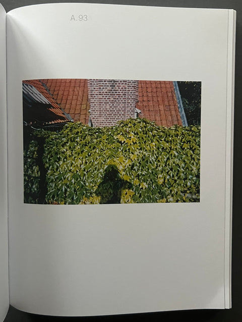 Elisabeth Van Vyve: Observations from the Margin