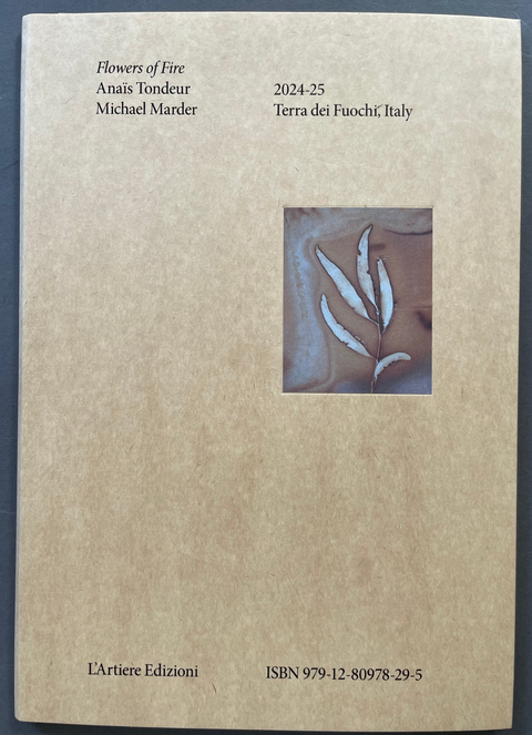 Front cover of Flowers of fire by Anaïs Tondeur, Michael Marder with an image of a leaf.