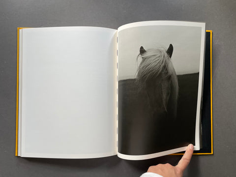 An open page showing a black and white image of a horse.