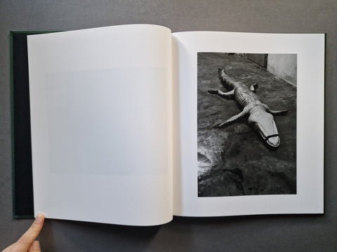 An open hardcover book or art print showing a black-and-white photograph of an alligator on the right page, with a blank white left page, photographed against a dark gray background.