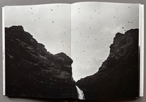 Image of cliffs and birds from 'Dark Light' by Hendrik Paul.