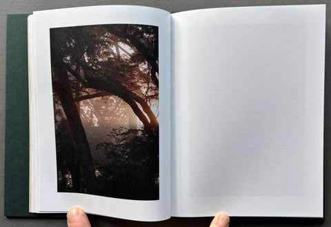 The Land of Haunted Forest