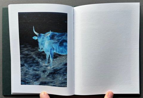 The Land of Haunted Forest