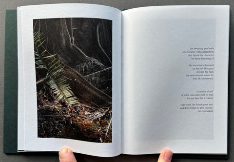 The Land of Haunted Forest