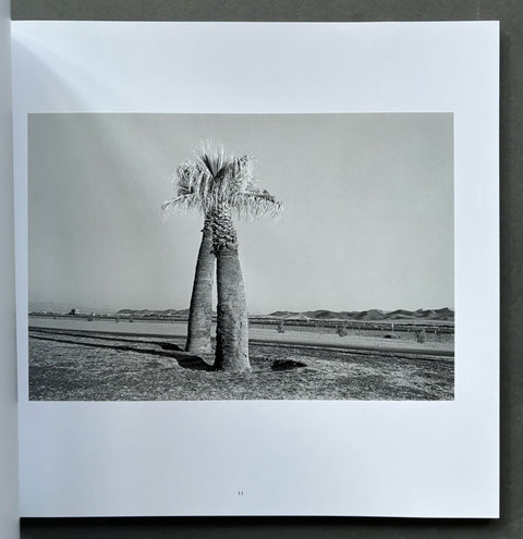Five Books: California and the West, Odd Photos, Las Vegas, Real Estate Photographs, Night Walk