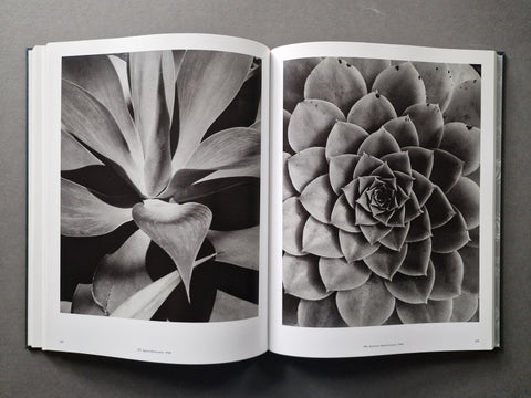 An open book spread showing to close up photographs of succulents