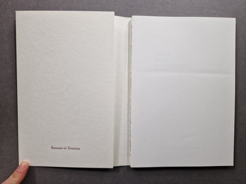 I NEVER KNEW CY TWOMBLY: Bassano in Teverina