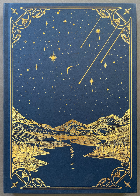Front cover of I saw a tree bearing stones in the place of apples and pears by Emilia Martin with a landscape image with starry sky.