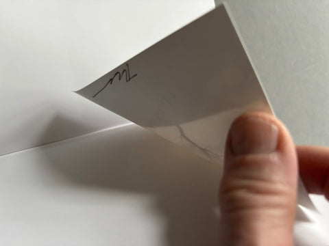 One Picture Book #59: Cracked Trees