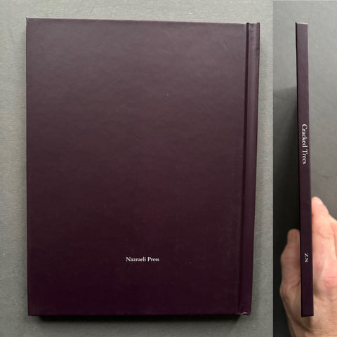 One Picture Book #59: Cracked Trees