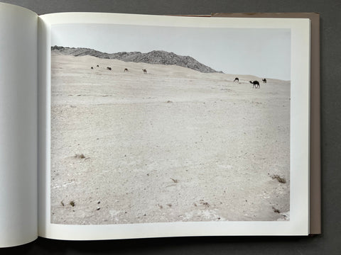 Paul Seawright Hidden