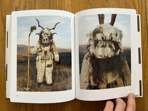 Wilder Mann: The Image Of The Savage