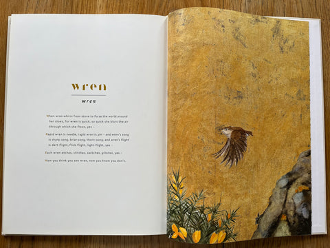 The Lost Words: A spell book